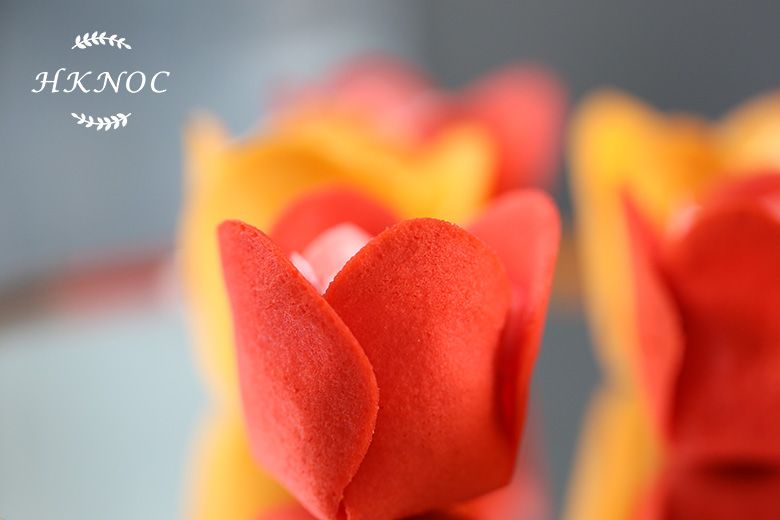 鬱金香玫瑰禮盒