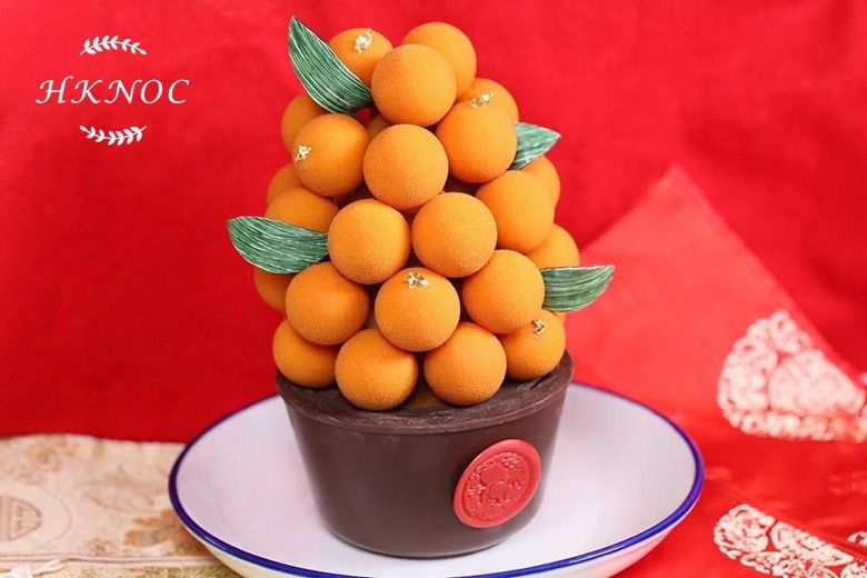 朱古力桔仔樹盆栽