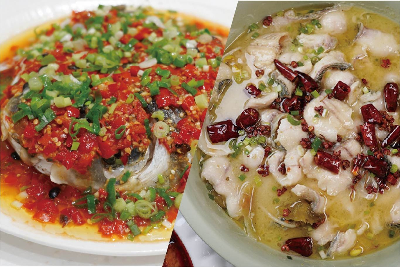 家常菜:酸菜魚+剁椒魚頭