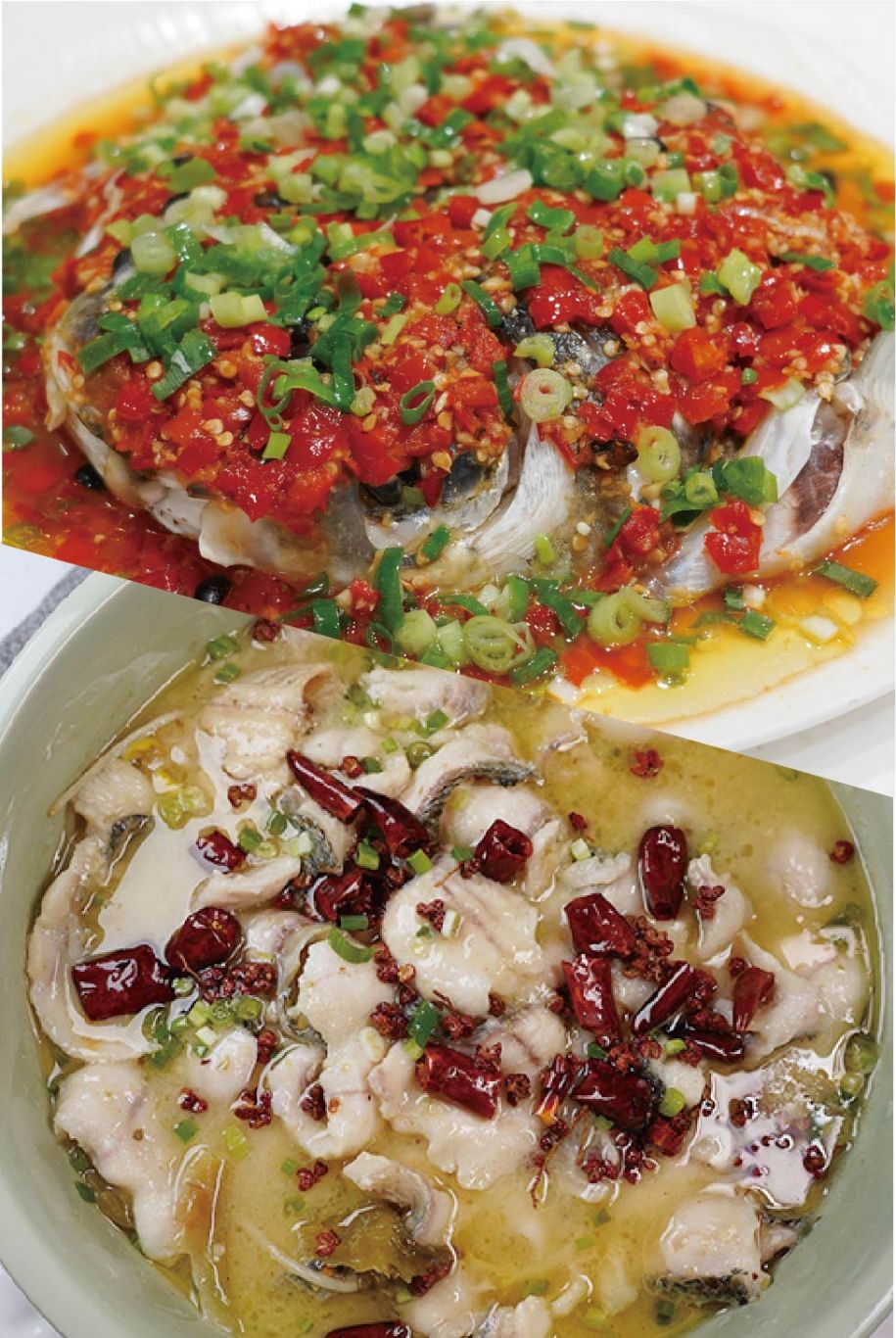 家常菜:酸菜魚+剁椒魚頭