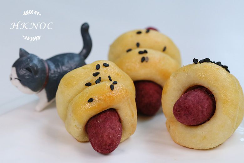 寵物食品製作工作坊