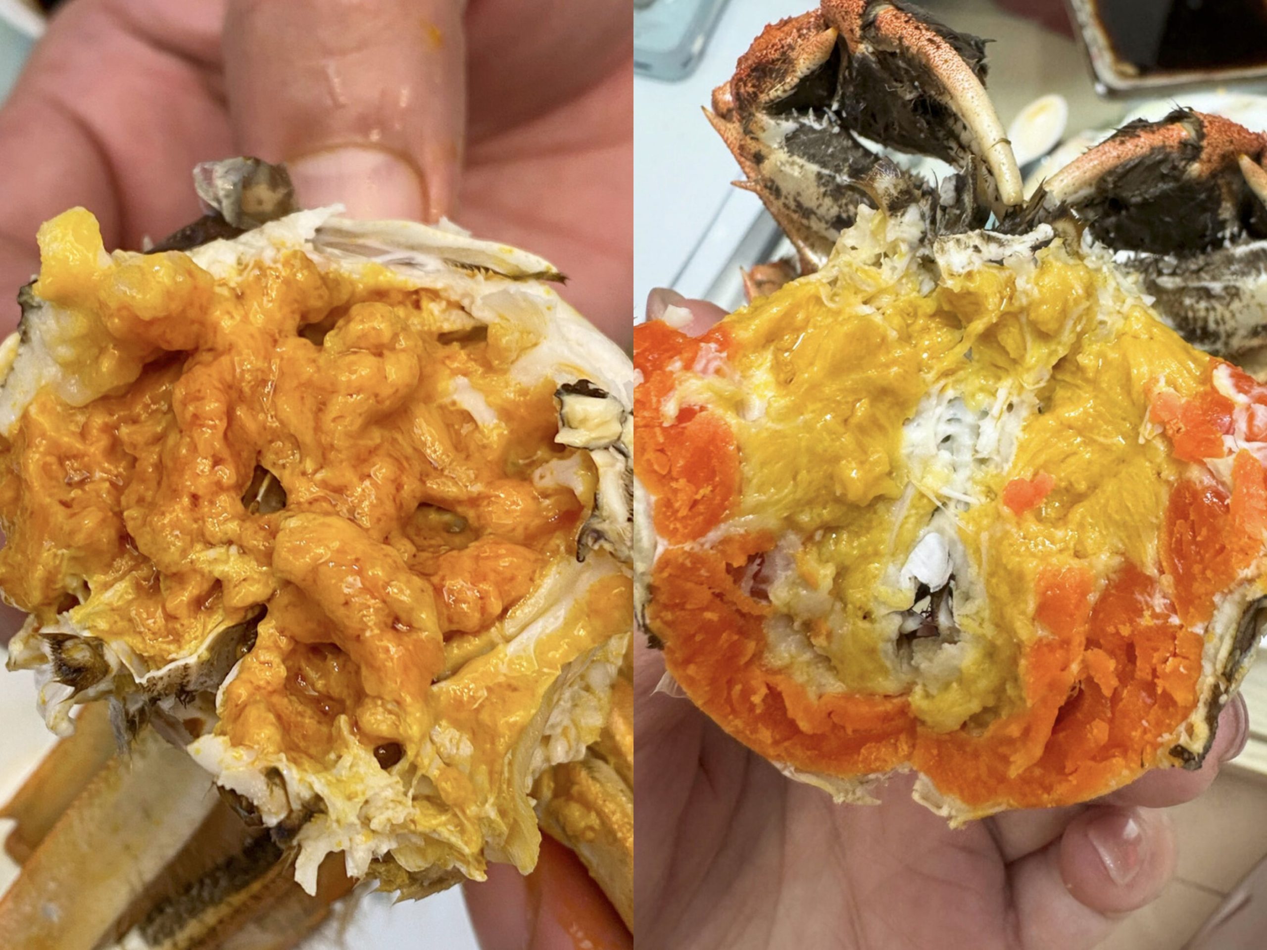 秋日大閘蟹工作坊